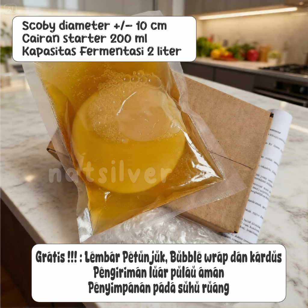 Bibit Scoby Jamur Kombucha Tea