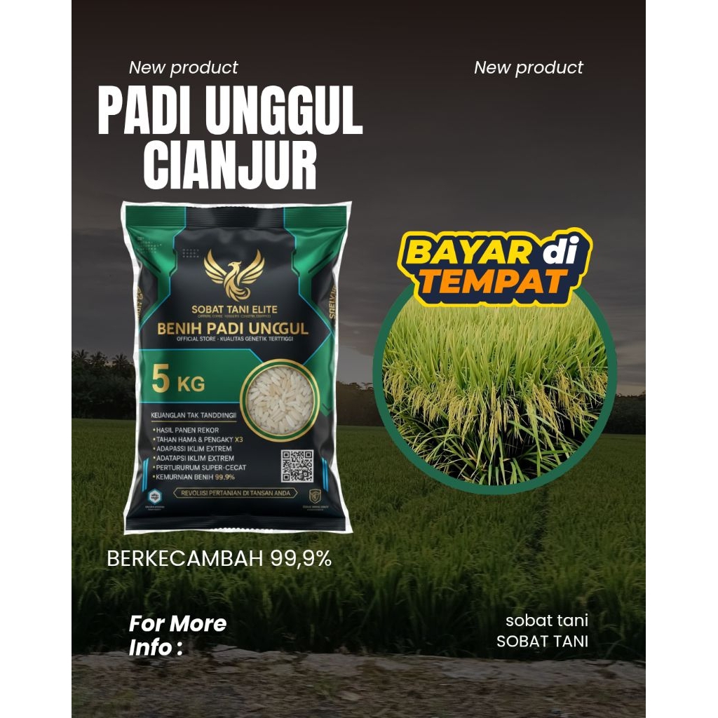 benih padi CIANJUR 5KG BERKUALITAS ORIGINAL POTENSI HASIL PANEN MELIMPAH