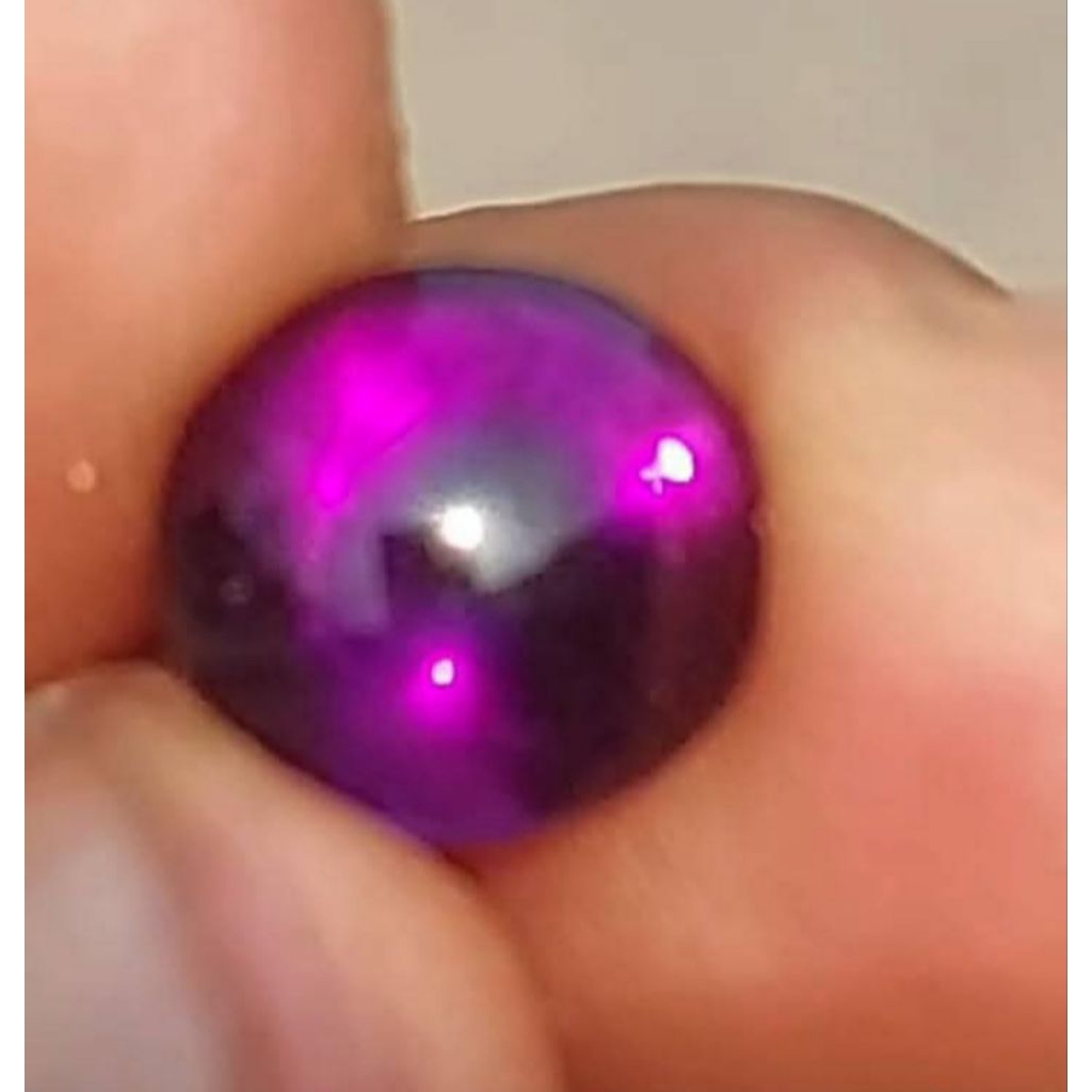 Kecubung Kalimantan Asli