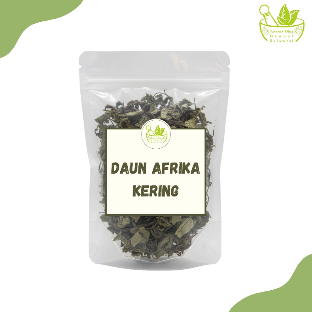 Daun Afrika Kering/Daun Klorofil Kering (30 Gram)