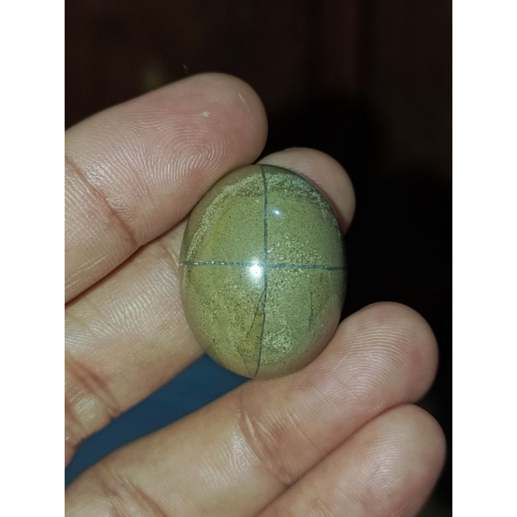 Akik Tapak Jalak F0$L Kayu Dewandaru Langka