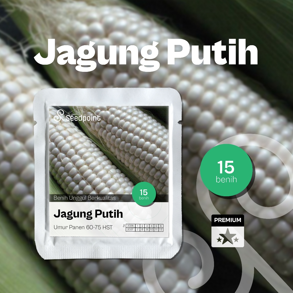 Seedpoint - 15 Benih Jagung Pulut Putih Hibrida White Lorenza