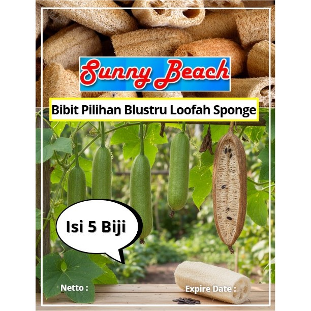 Bibit Pilihan Blustru Loofah Sponge | Biji Benih Blustru Loofah | Oyong Blustru Loofah