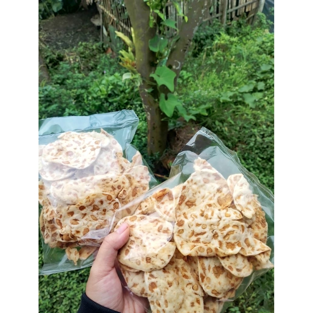keripik tempe 100gram