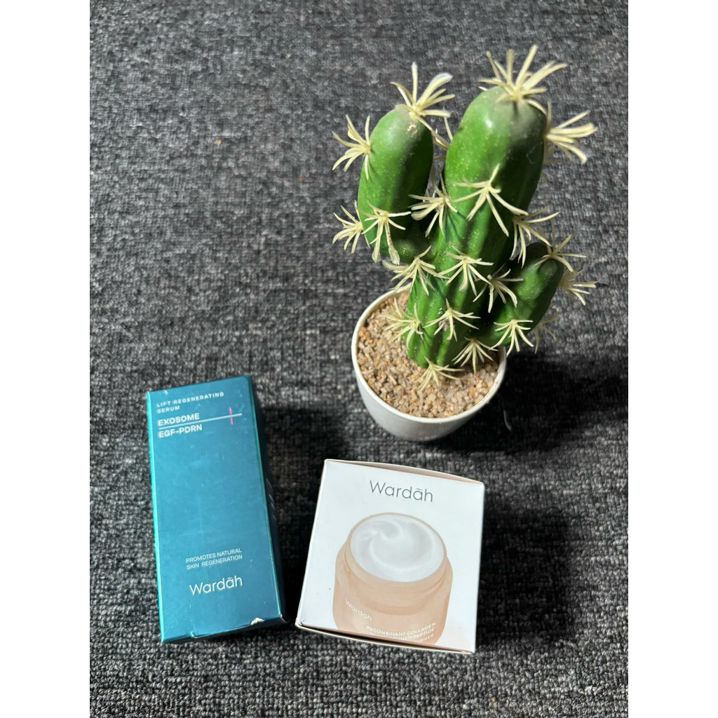 Paket Skincare Wardah