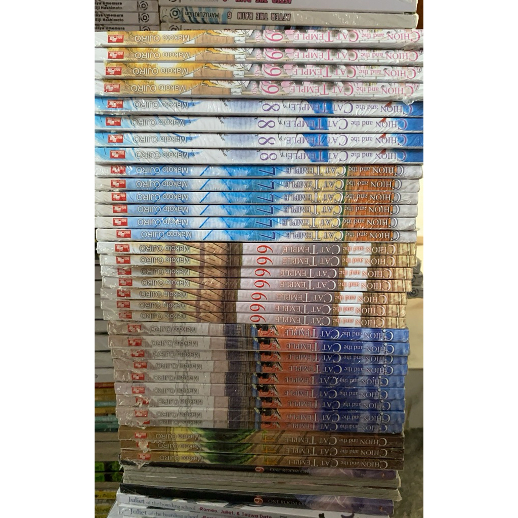 CHION CAT AND THE TEMPLE