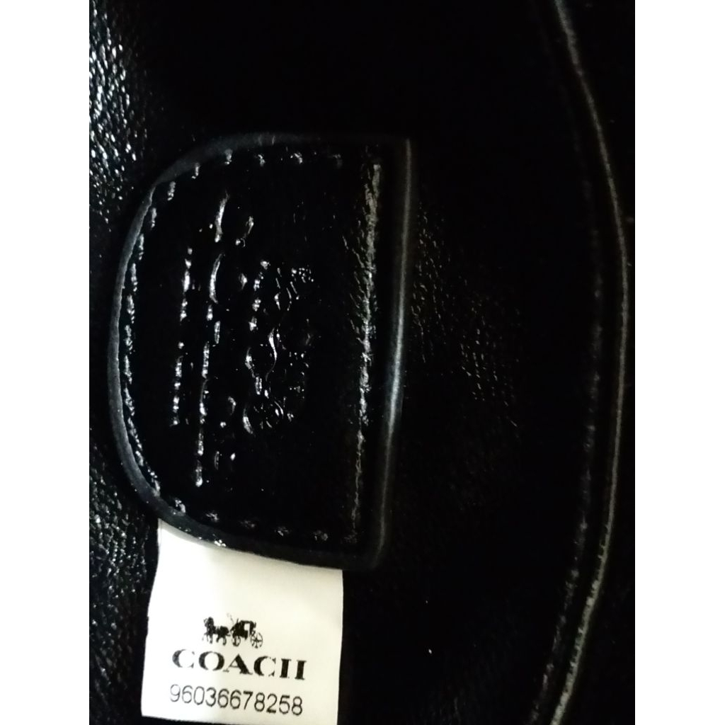 Preloved Tote Bag Coach pillow