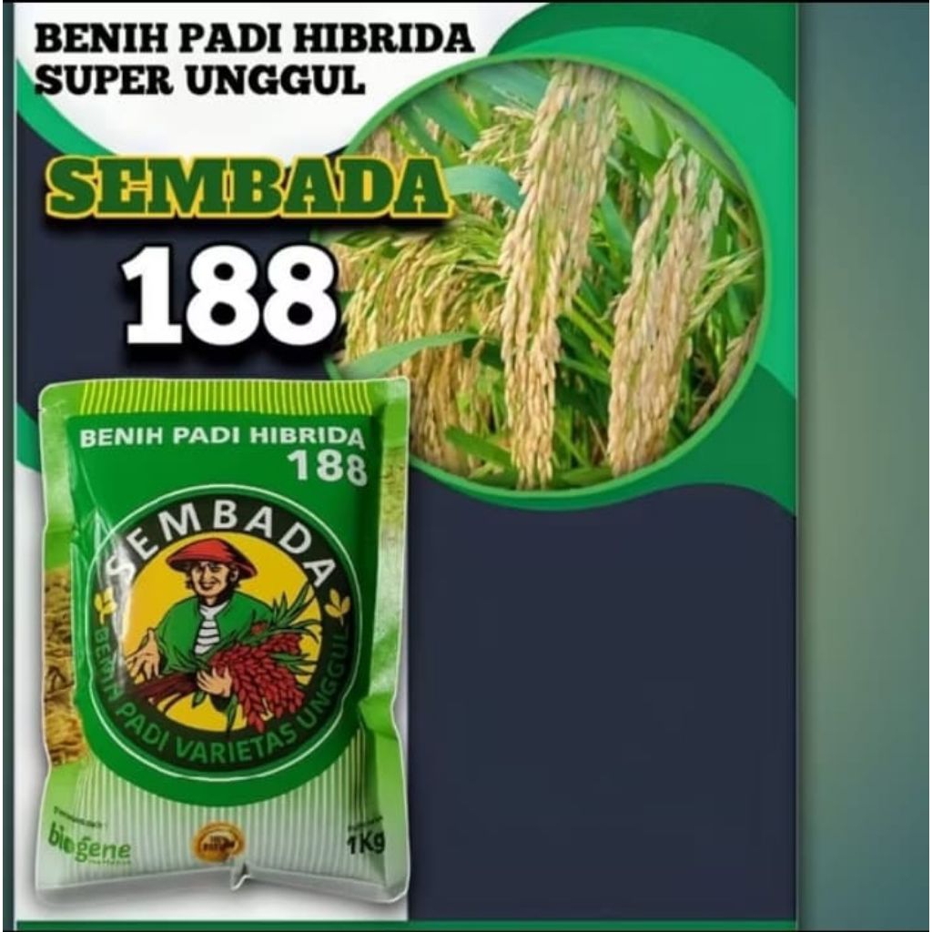 benih padi sembada 188 kemasan 5kg