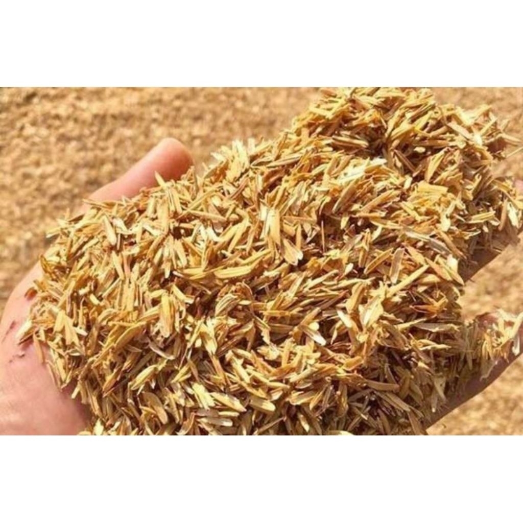 sekam mentah karung 50 kg ( berat -+8 kg)