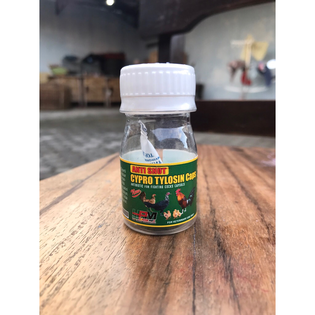 Bang AT Production Tylosin Obat Crd snot Dan Ngorok Pada Ayam aduan