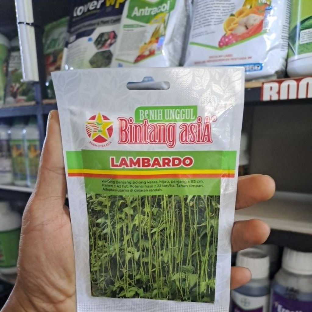 Benih Kacang Panjang Lambardo 25gr Benih Kacang Panjang Bintang Asia