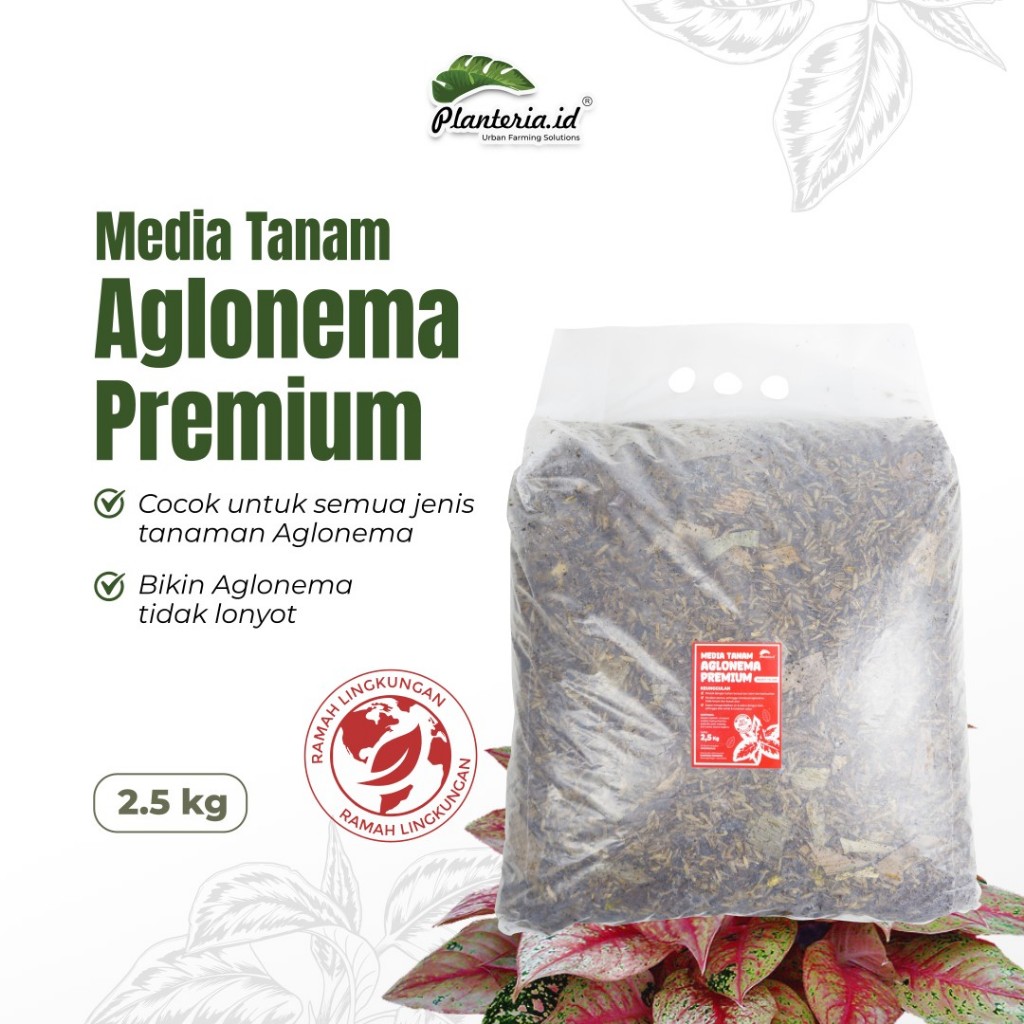 Media Tanam Aglonema Fermentasi Media Tanam Premium 2,5KG