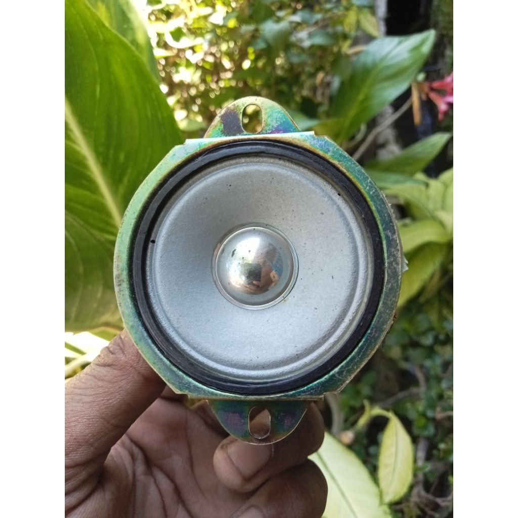 1pcs/Tweeter 2 inch Philips/Tweeter 2 inch