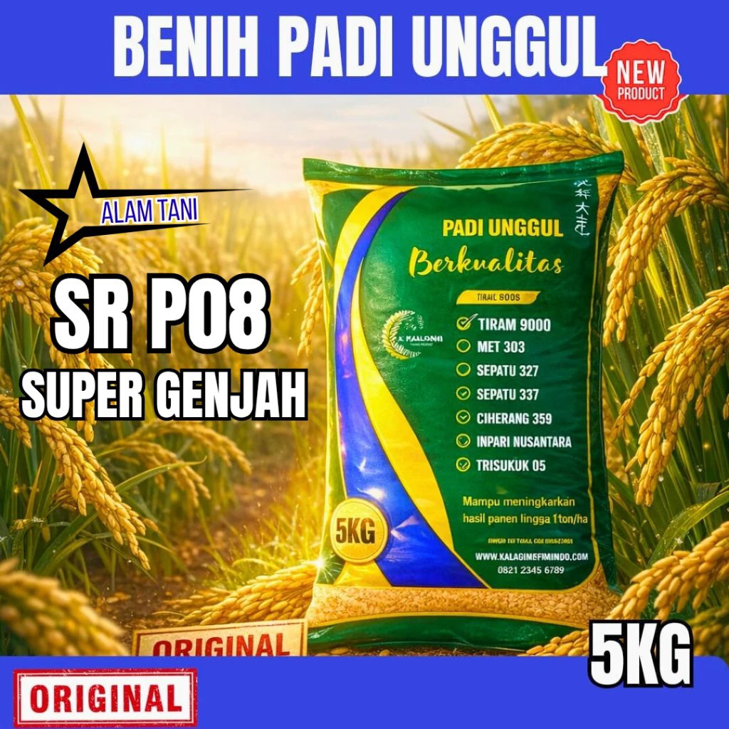 BENIH PADI SR P08 KEMASAN 5 KG BENIH PADI KUALITAS UNGGUL