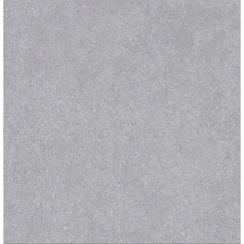 GRANITE 60×60 ARNA ARIENTA GREY | MATT