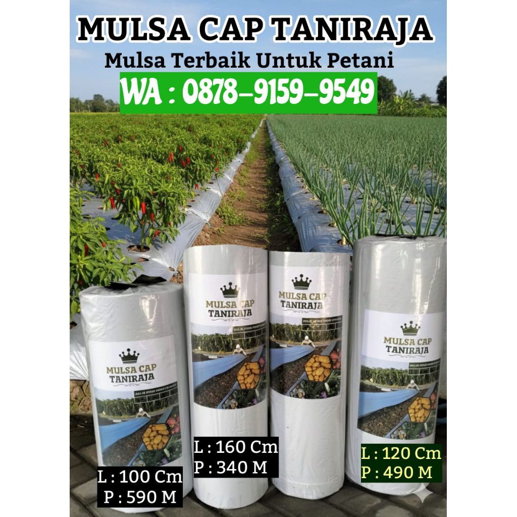 MULSA TANIRAJA LEBAR 100 CM