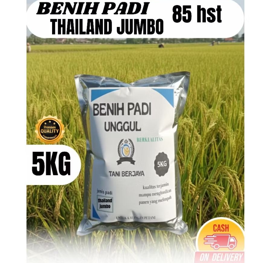 benih padi bibit padi thailand jumbo kualitas original super premium