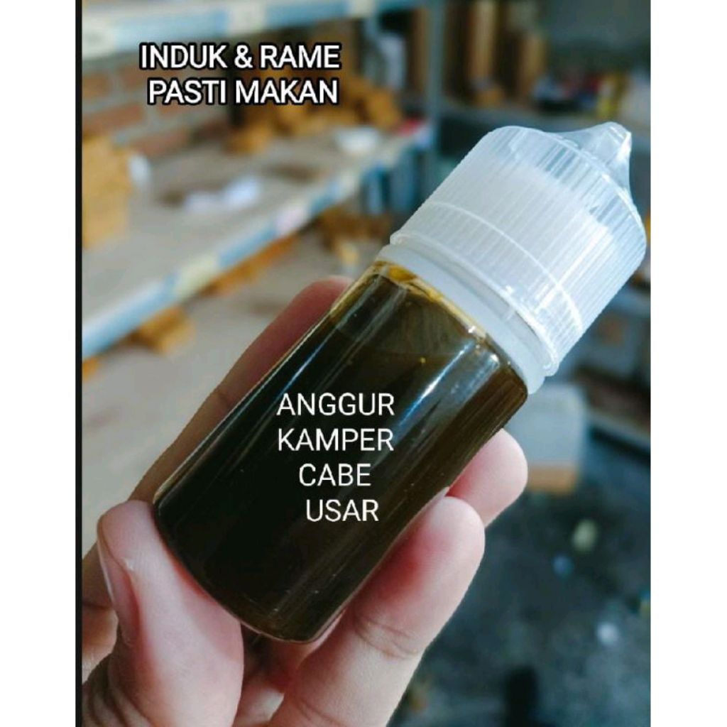 0essen plosan Anggur Kamper Cabe Usar,essen paling bagus siang malam