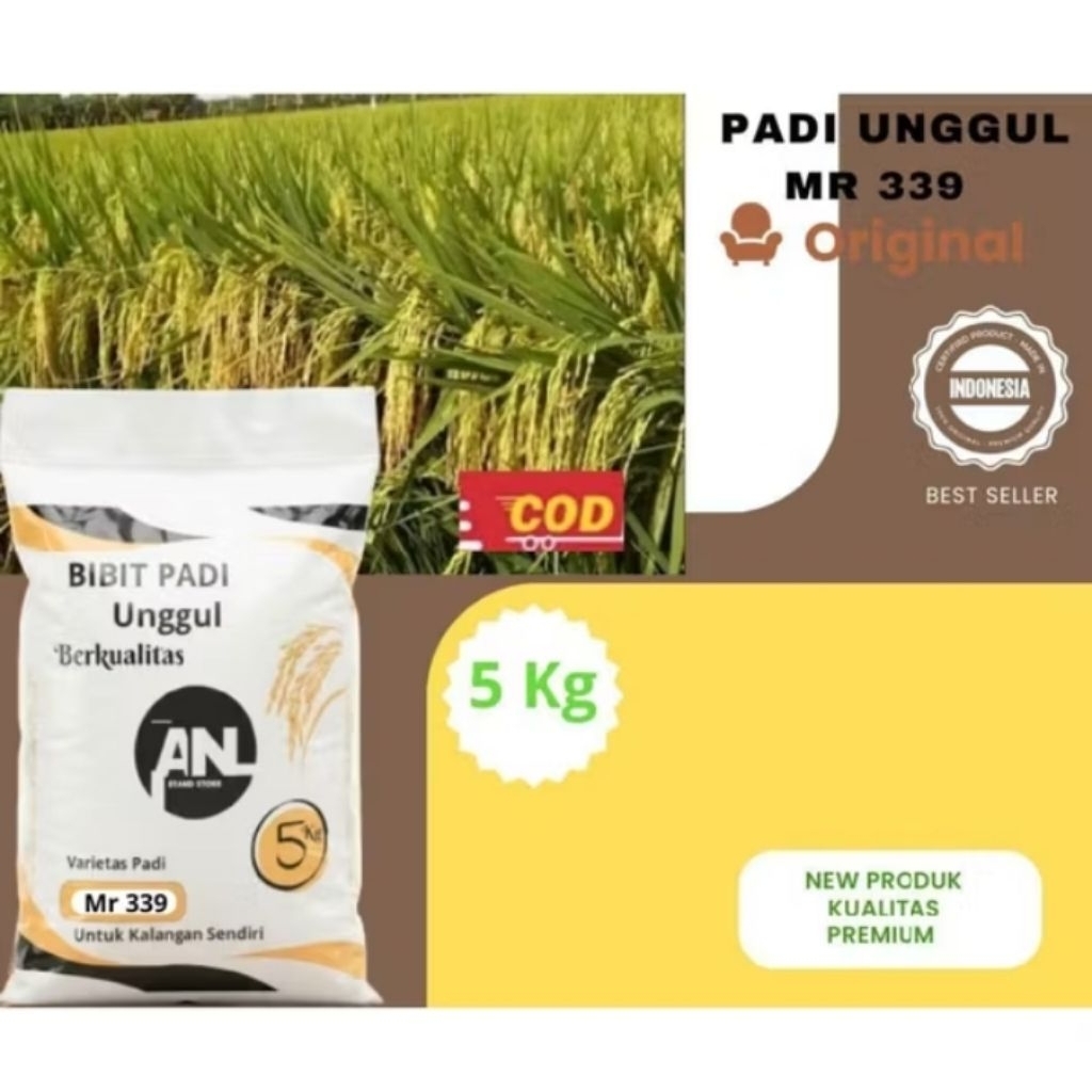 Bibit Padi MR 339 -5Kg Original Varietas Padi Super Kokoh Mudah Perawatan Hasil Optimal