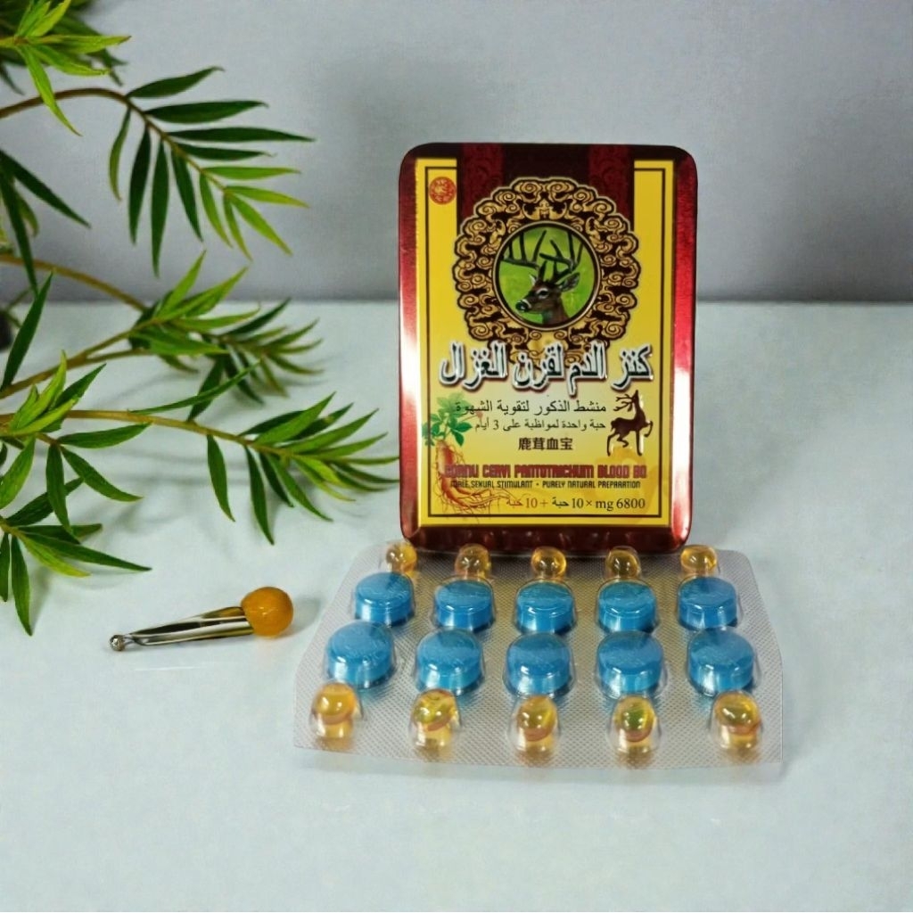 kapsul tanduk rusa untuk kebugaran fisik dan vitalitas