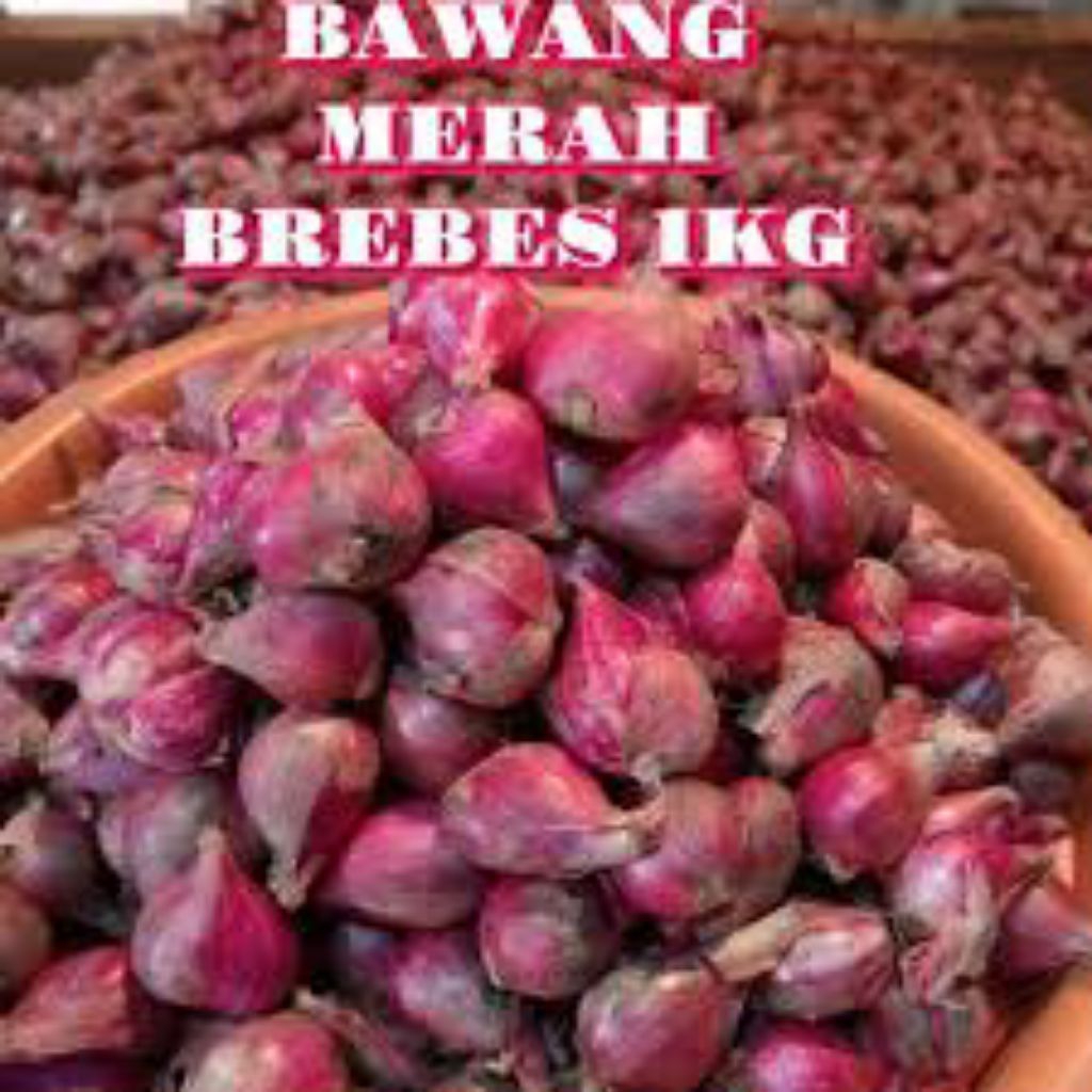 BAWANG MERAH BREBES PREMIUM TERMURAH LANGSUNG DARI PETANI LOKAL