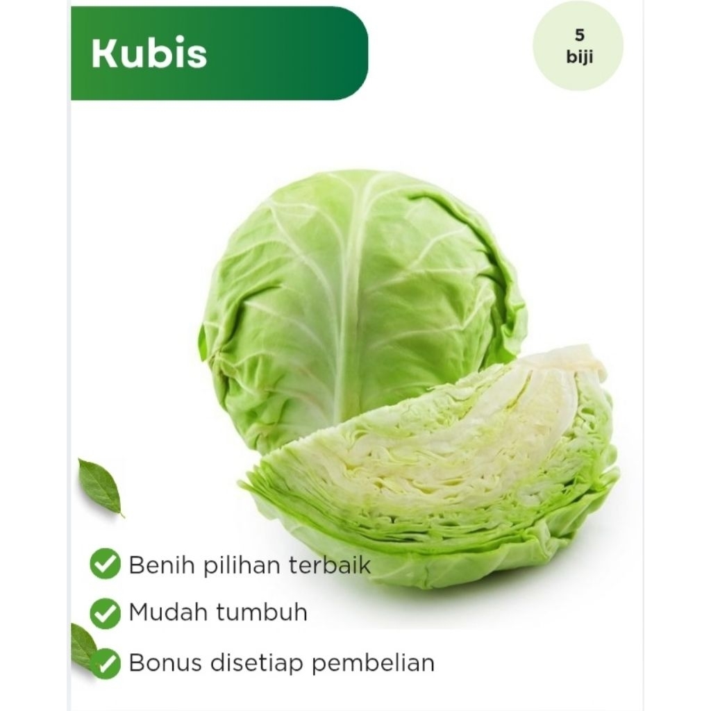 Benih Sayuran Kubis F1 Hibrida
