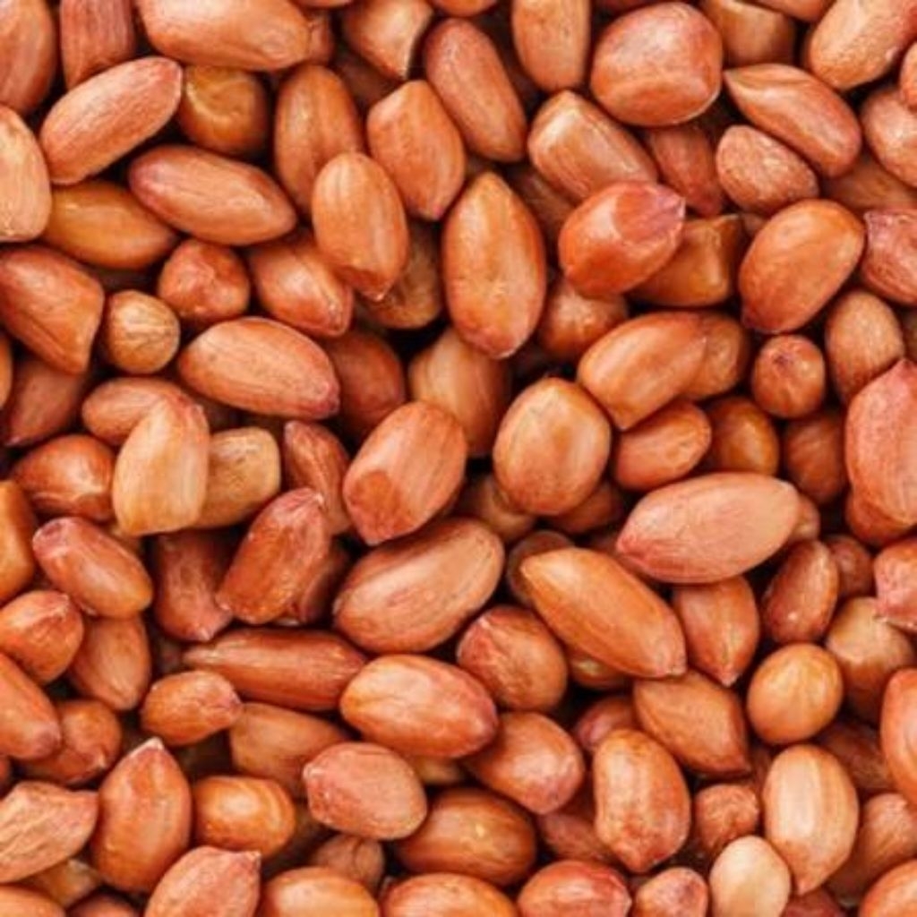 DONSKYY GROSIR [ KACANG TANAH KILOAN 1 KG - 5 KG ] Kacang Tanah Kulit Ari Mentah 1kg - 5kg Gurih, Be