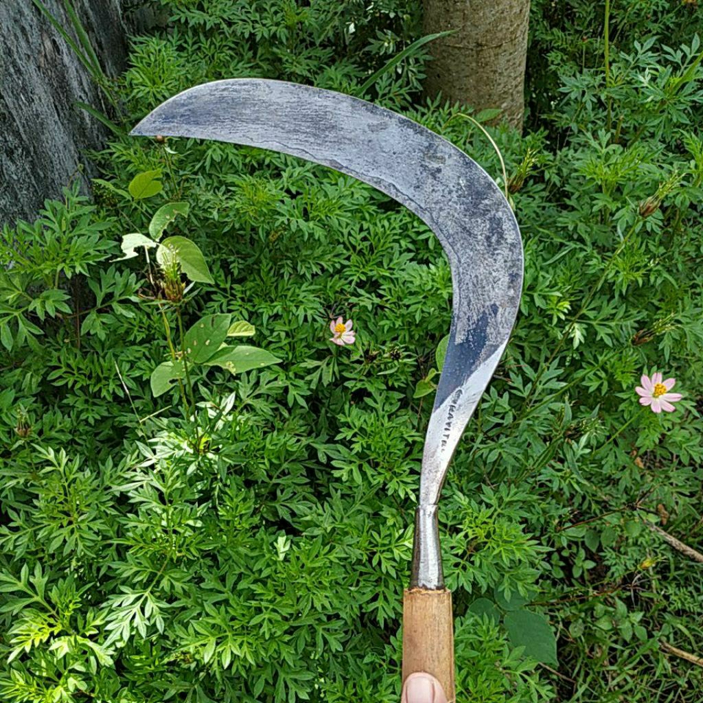 SABIT RUMPUT PRAYITNO TANGGUNG KECIL UNTUK PANEN PADI