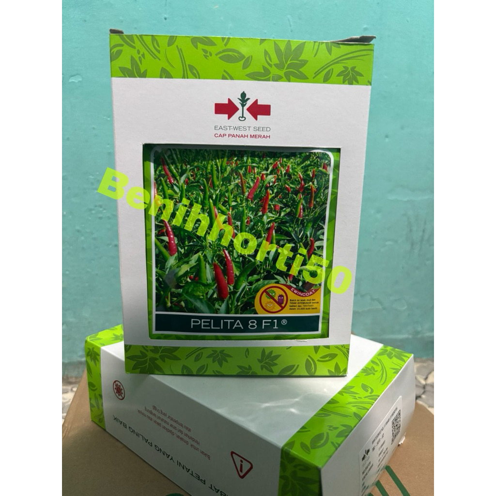 1 Kotak/15 Bungkus Benih Cabe Rawit Pelita 8 F1 isi 2250 butir