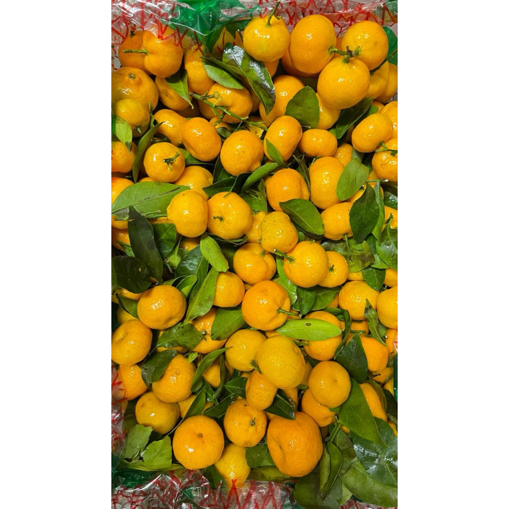 Jeruk santang baby 1 kg