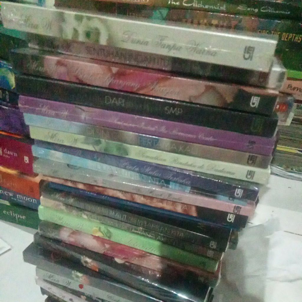 novel Mira W