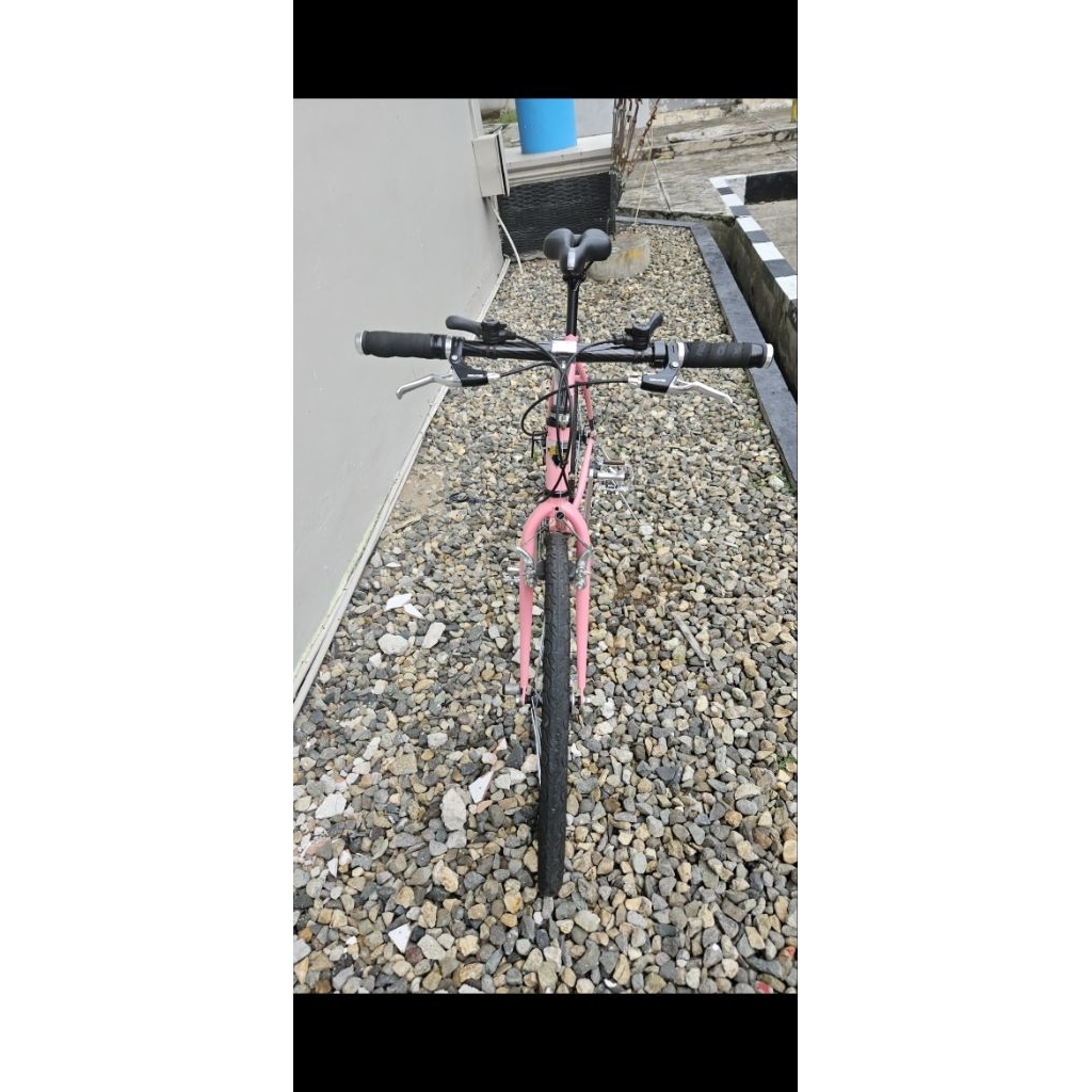 Sepeda Kalcer Federal Street Cat Cycle 2000