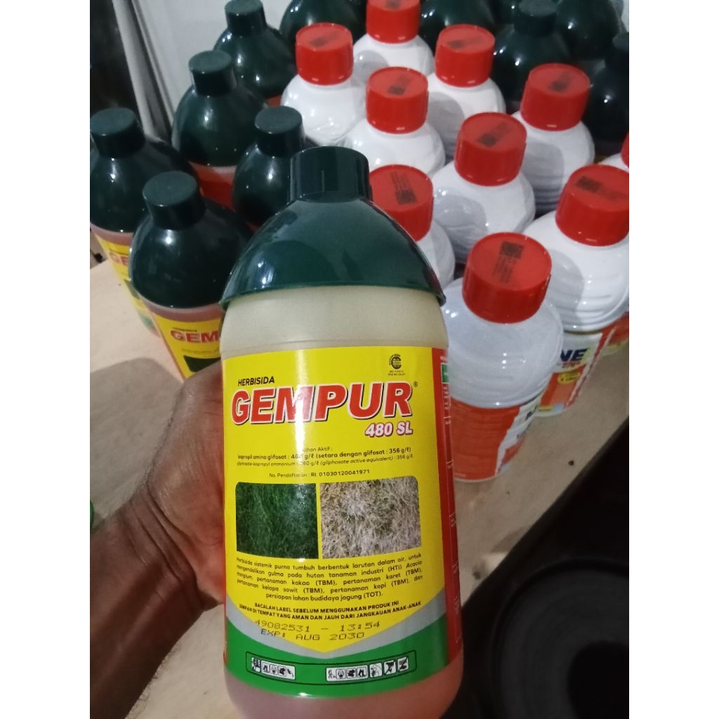 Gempur herbisida racun rumput gulma sampai akarnya