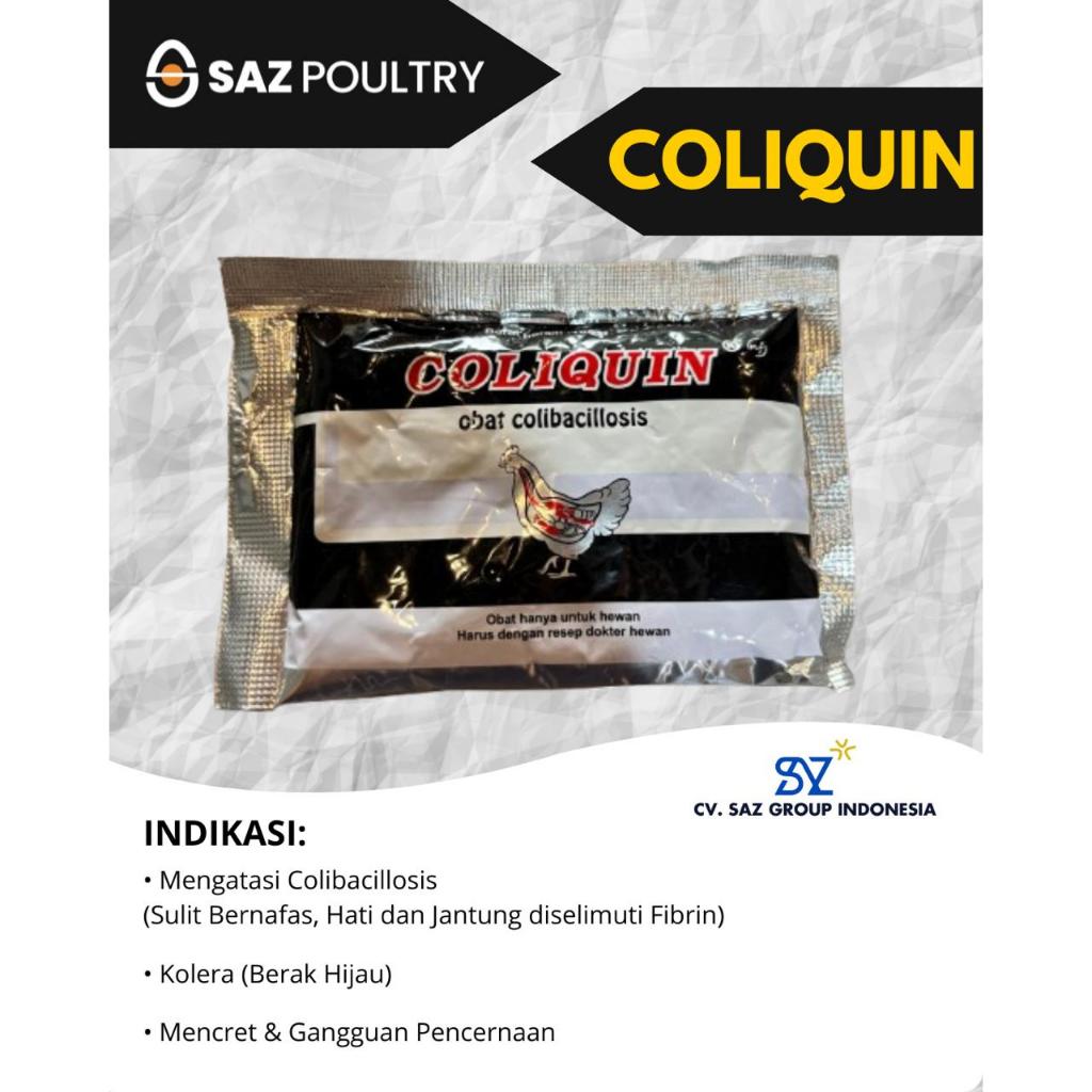 Coliquin 100g Obat Colibacillosis Unggas Ayam