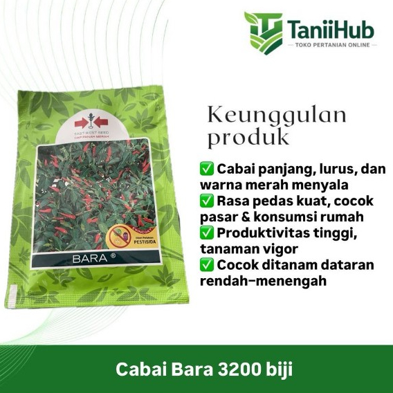 Benih Cabe Rawit Bara Panah Merah