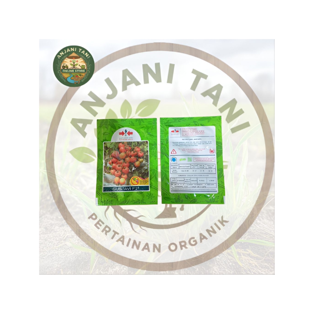 BENIH BIBIT TOMAT GUSTAVI F1 - CAP PANAH MERAH
