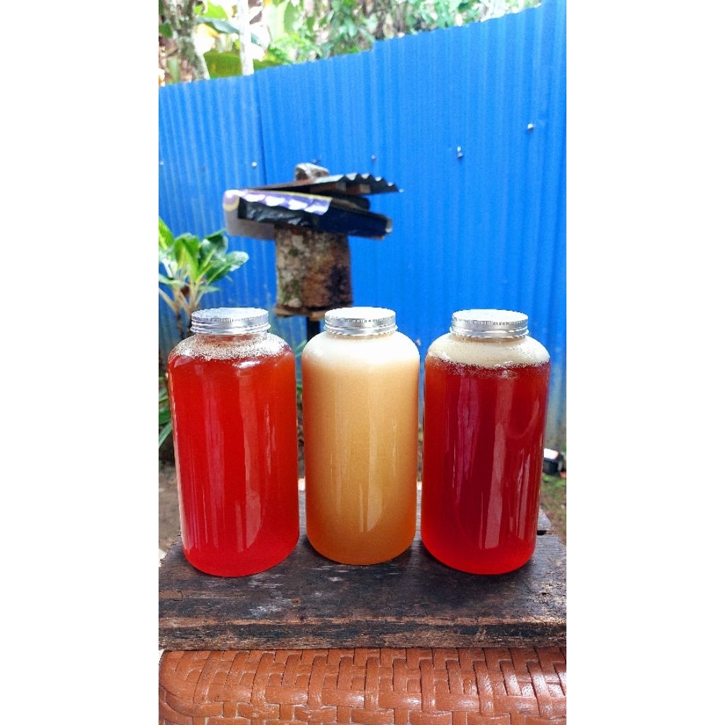 Madu ORIGINAL Lebah Trigona Kelulut itama Kalimantan Barat (1000 ml)