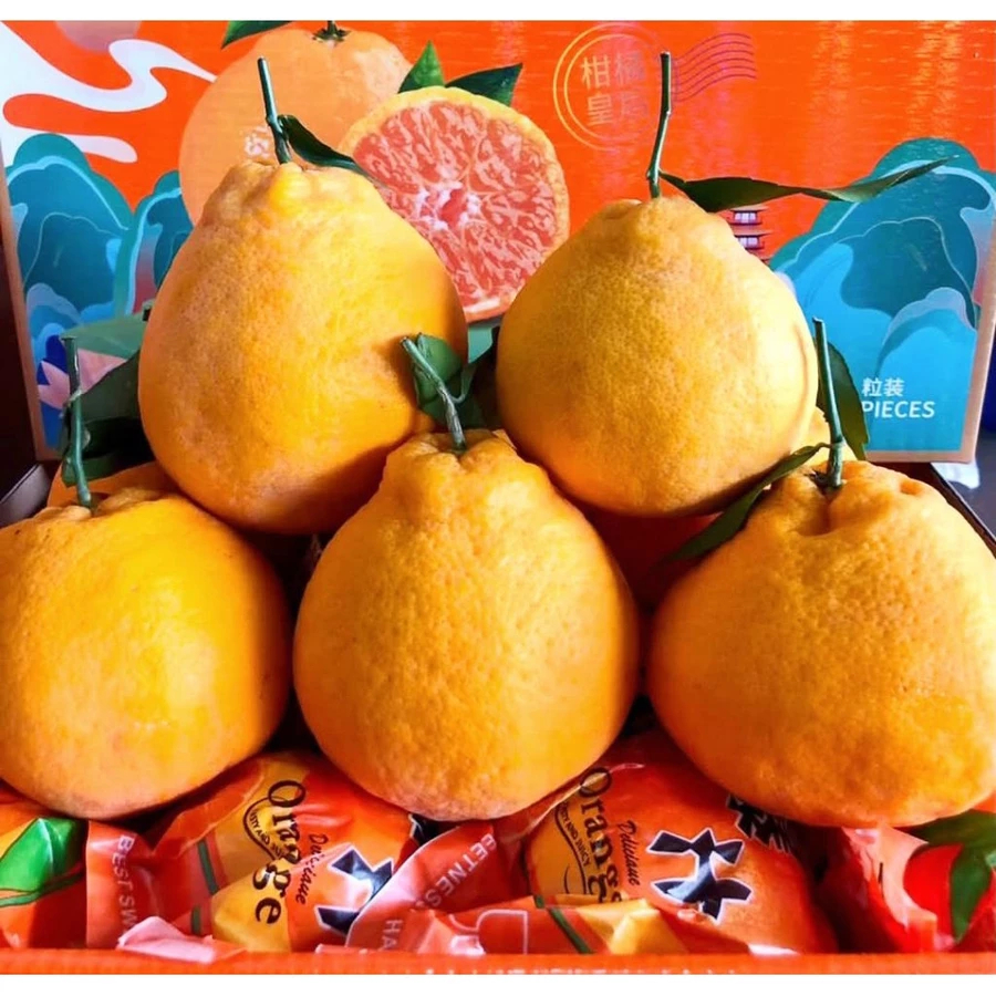 Jeruk Dekopon Papagan Fresh Import – Manis Alami, Kualitas Premium