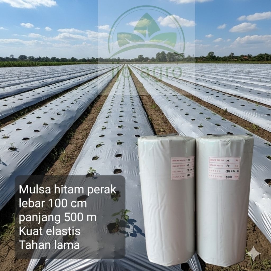 plastik mulsa hitam perak lebar 100 cm (1m) panjang 500 meter 1 roll