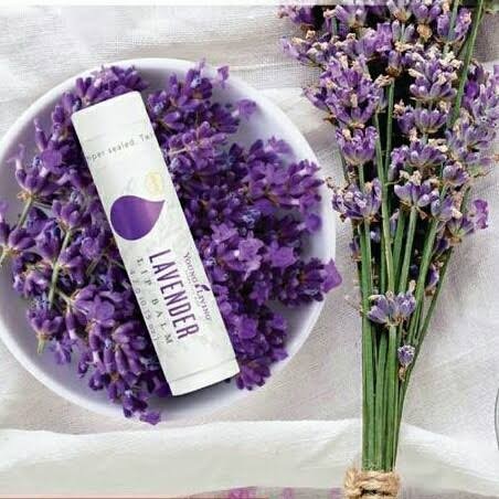 Young Living Lavender Lip Balm Essential Pelembab Alami Bibir
