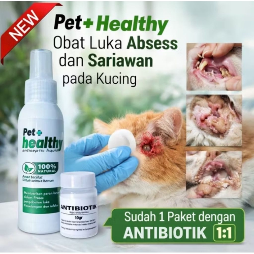PET HEALTHY  Luka Kucing Sariawan Abses Infeksi Kucing Anjing + Antibiotik PETCARE MEDICAT