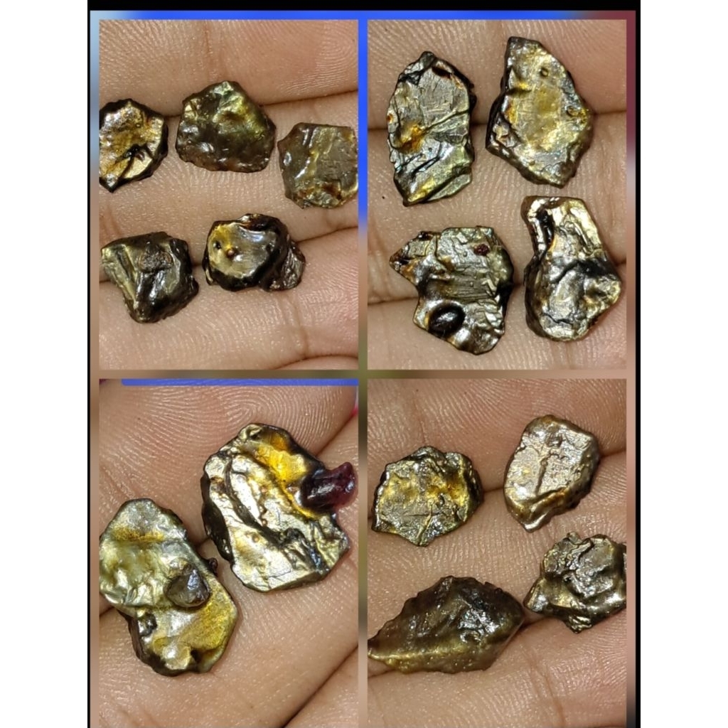 bahan bangsing golden