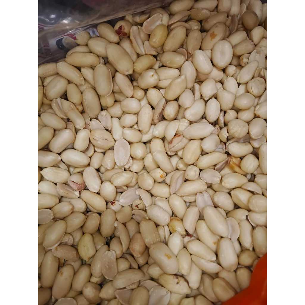 (Cargo) 1 dus (25 kg) Kacang Tanah Kupas Mentah Berbagai Ukuran