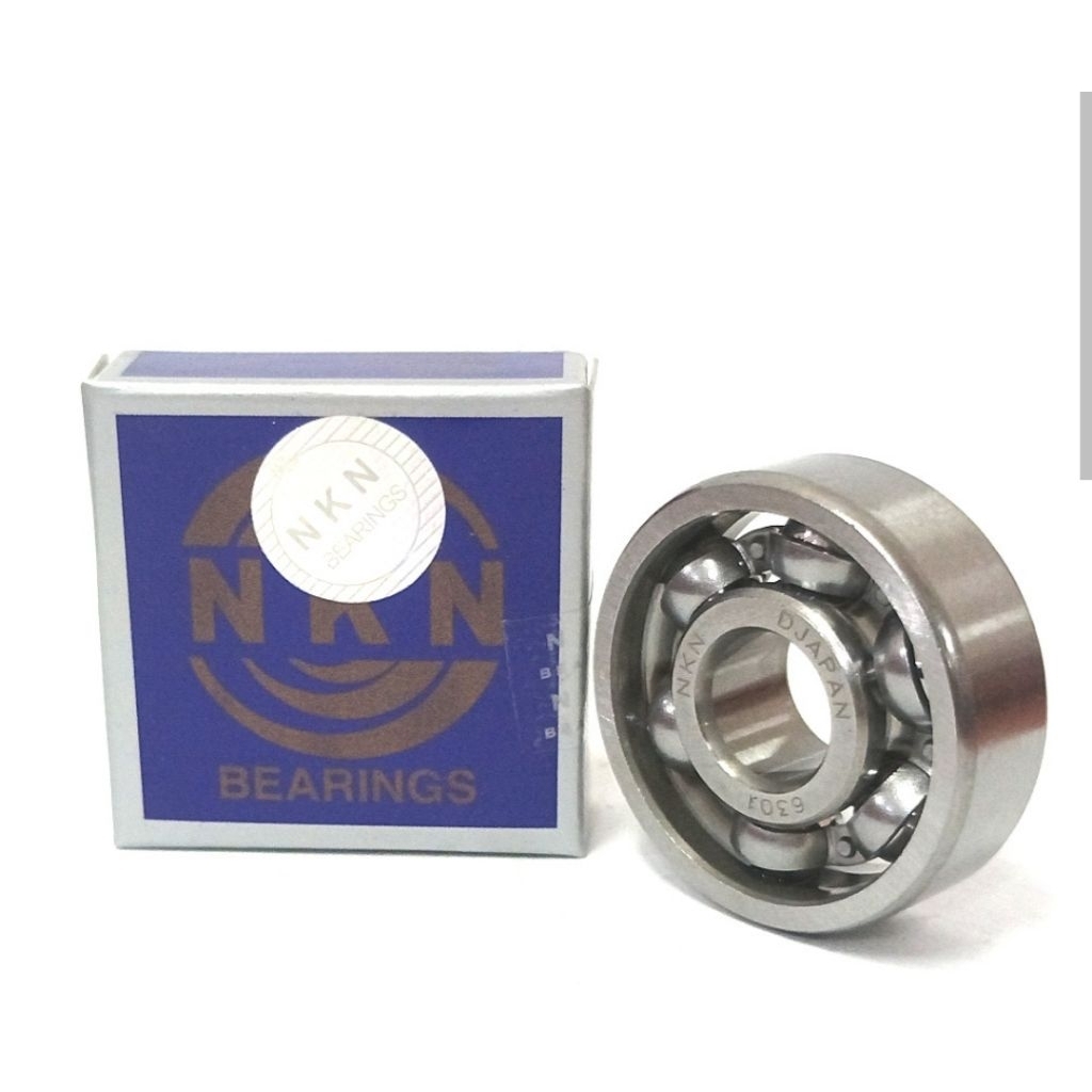 Bearing 6301 NKN/OPEN