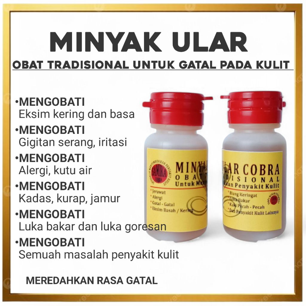 (COD) Minyak Ular Cobra Obat Tradisional Untuk Kulit Gatal