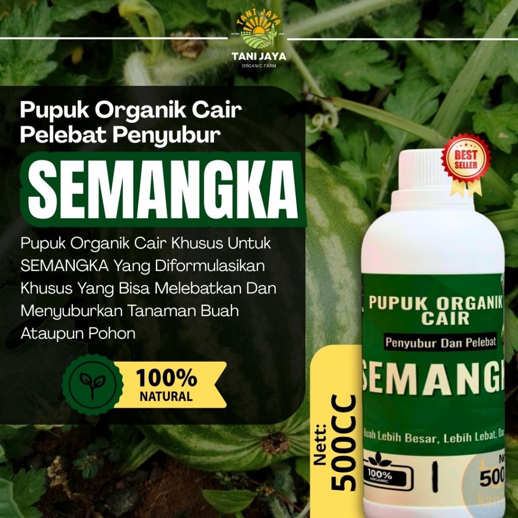 Pupuk Semangka Pembesar Buah Pupuk Semangka Pupuk Penyubur Tanaman Semangka Pupuk Buah Semangka
