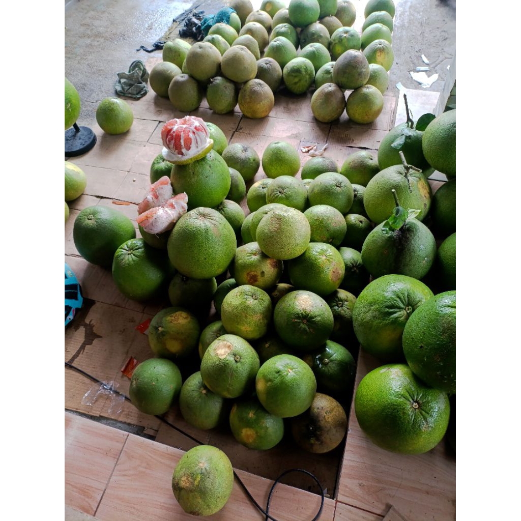 jeruk pamelo madu Muria (700-900 gr)