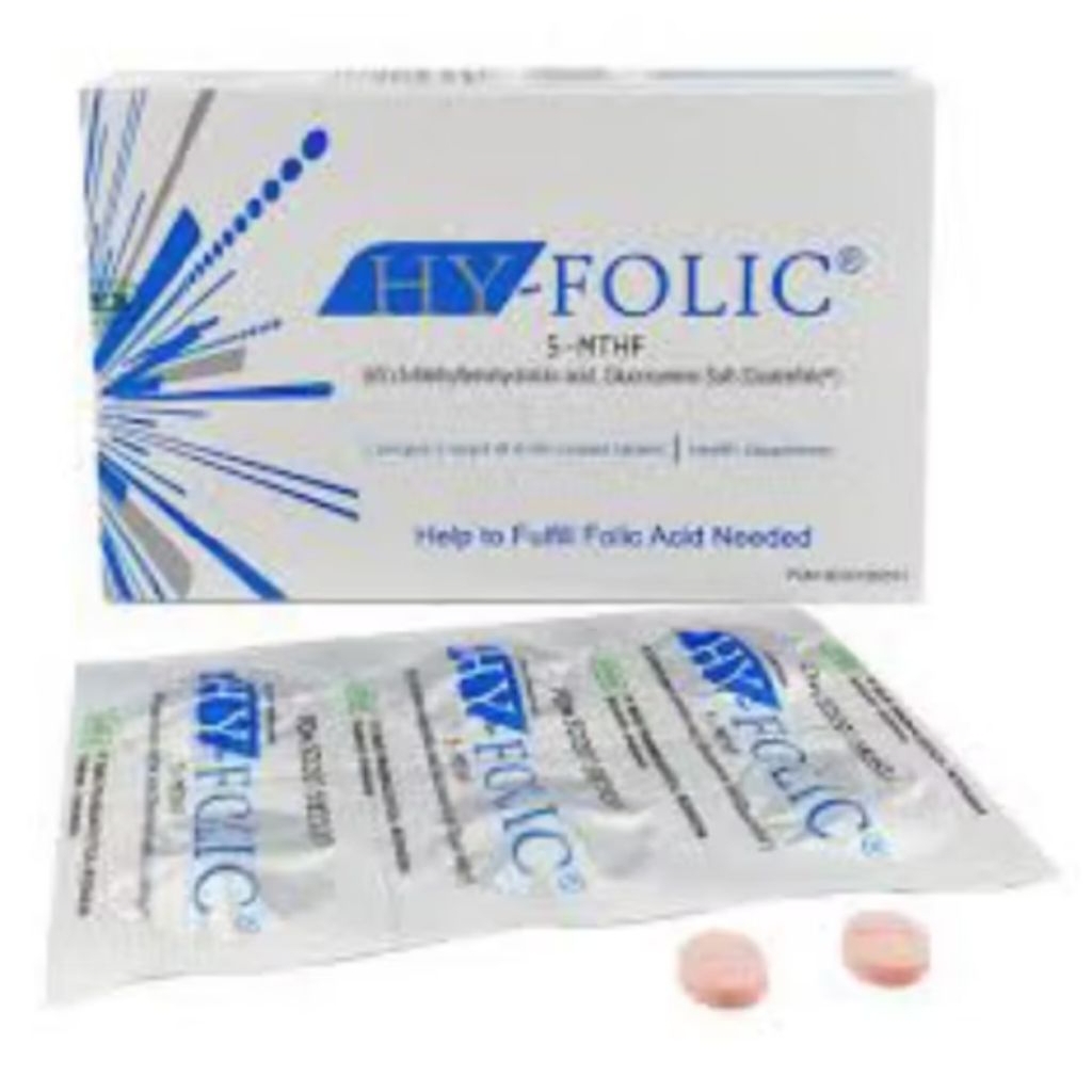 Hy Folic Asam Folat BOX