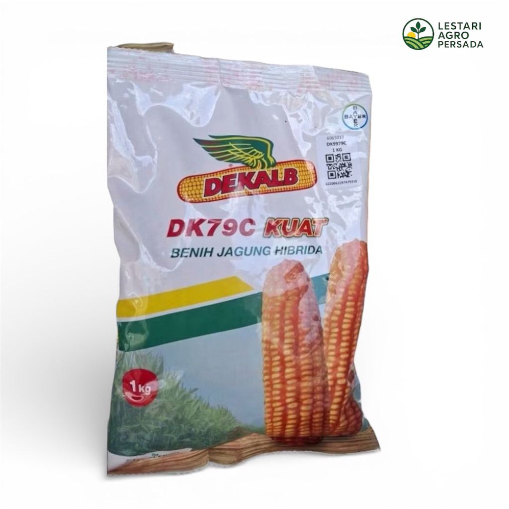 Benih Jagung Hibribda Tahan Bulai DK79C Kuat 1Kg. - Benih Jagung DK Bayer