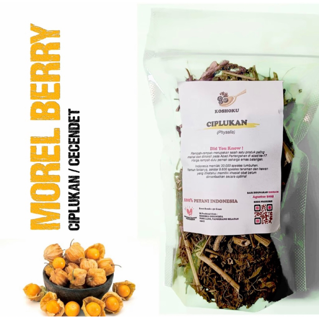 DAUN CIPLUKAN KERING HERBAL OBAT DIABETES 50g